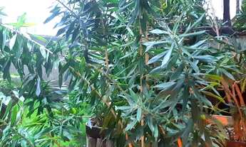 Imagem: Flat em Copacabana, próximo a Praia, Posto