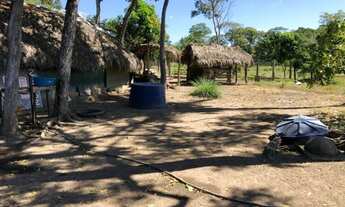 Imagem 4: Vendo Chacara de 6,4 hects , [ 1,32 ] alqs. proxima a Lajeado