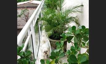 Imagem 4: Sobrado 590 metros 7 quartos Parque Paulistano - São Paulo - SP