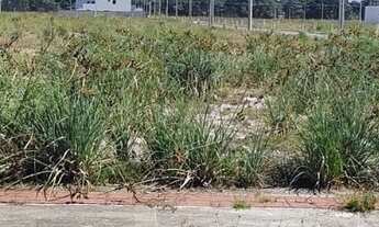 Imagem 3: TERRENO NA PRAIA DO CAPRI - PARCELADO DIRETO COM O LOTEADOR