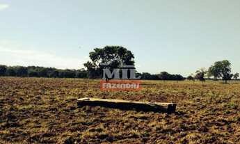 Imagem 4: Fazenda Beira Tocantins. > 1.000 Alq. (4.840 Há). p/ Soja