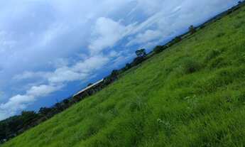 Imagem 2: Fazenda 95 alqueires