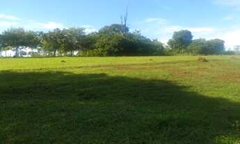 Imagem 5: Fazenda em Goiânia