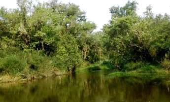 Imagem 4: Chácara em Barreirinha - Curitiba PR