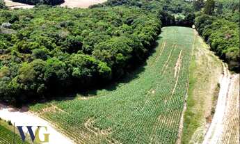 Imagem 5: Terreno Rural para Venda em Campo Largo, Colônia Balbino Cunha