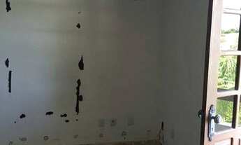 Imagem 6: Salvador - Casa Padrão - Caminho das árvores