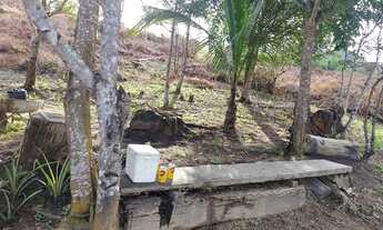 Imagem 5: Excelente chácara com casa e um lago a 18 Km de Parauapebas