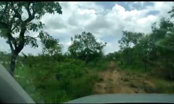 Imagem 7: Fazenda no municipio de Lizarda R$ 13 mil alqueire no Tocantins para cria e engorda de gad