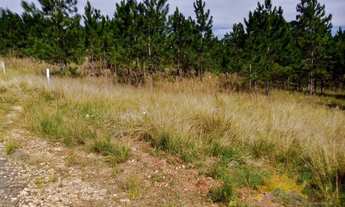 Imagem 4: Terreno para vender, 360.00 m2 por R$ 59000.00 - Chapada - Ponta Grossa/PR