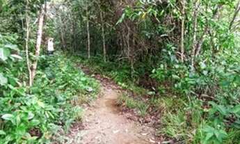 Imagem 5: Fazenda em 2 Irmãos Tocantins beira do asfalto terra cultura escriturada