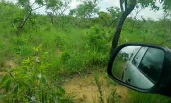 Imagem 2: Fazenda no municipio de Lizarda R$ 13 mil alqueire no Tocantins para cria e engorda de gad