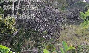 Imagem 6: Terreno em Condomínio Fechado