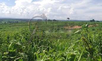 Imagem 5: Vende-se uma fazendinha de 13.31 hectares a 30km de moc