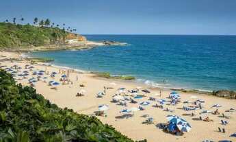 Imagem 16: Apartamento à venda no Rio Vermelho, 2/4 reversível para 3, com suíte e 01 vaga de garagem