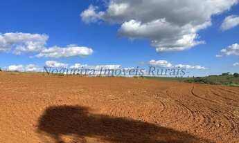 Imagem 3: Fazenda com 40 alqueires, região de Avaré - SP (Nogueira Imóveis Rurais