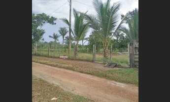 Imagem 2: Chácara top, a 500 metros do rio
