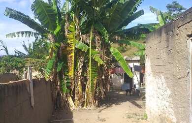 Imagem 2: Casa Casa com 2 dormitórios