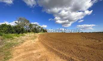 Imagem 2: Fazenda com 40 alqueires, região de Avaré - SP (Nogueira Imóveis Rurais