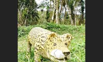 Imagem 2: Linda chacara Pedro de Toledo SP