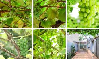 Imagem 2: Apartamento em Santana