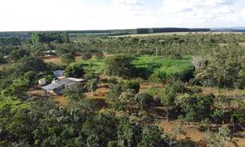 Imagem 2: Chácara 2 Hectares Chacara De 20.000M2, São 20.000M2!. 1M01184