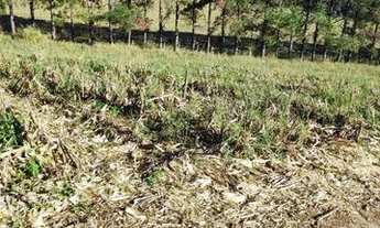 Imagem 5: Terrenos Em Atibaia Parcelamos Sem Juros Aceitamos Veiculos Investimento. DF-::lJ10tP