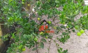 Imagem 5: Casa a venda no Dom Bosco - área de aproximadamente 668,29m²