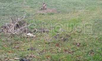 Imagem 6: Terreno para Venda em Cotia, Granja Viana