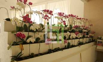 Imagem 1: Excelente casa para residência ou fins comerciais