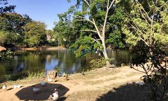 Imagem 6: Terreno - Parque Xangrilá - Campinas