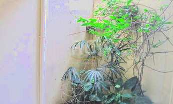 Imagem 4: Apartamento para Venda - 46.29m², 1 dormitório, Menino Deus