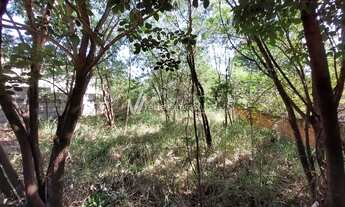 Imagem 6: Terreno - Chácara Santa Margarida - Campinas