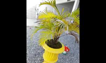 Imagem 5: Casa com Piscina e Sobrado SB520