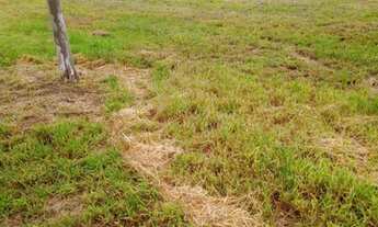 Imagem 5: Lote excelente pra venda