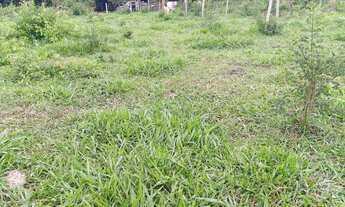 Imagem 5: Sitio 7 Alqueires,Terra de Cultura ,25 minutos Major Prates.