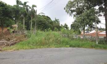 Imagem 2: Terreno com 3.492,58m² , à venda, no bairro Atuba em Curitiba