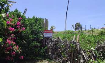 Imagem 3: TERRENO NA PRAIA / PORTO DE SAUÍPE- BA