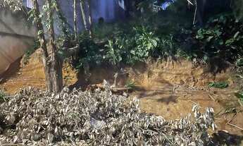 Imagem 6: VENDO TERRENO NA FREGUESIA