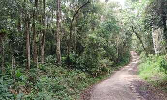 Imagem 7: Terreno por apenas 15 de entrada 40 de hum mil reais