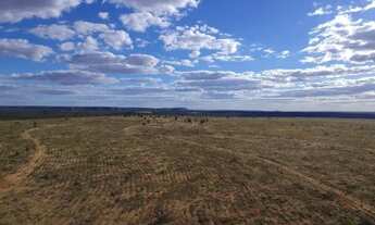 Imagem: FAZENDA TODA PLANA EM MAMBAÍ (GO) 950