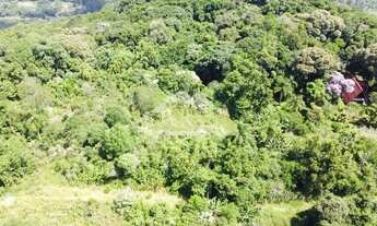 Imagem: Amplo terreno à venda na cidade de Picada