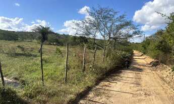 Imagem 3: Oportunidade localização privilegiada zona rural de Irará