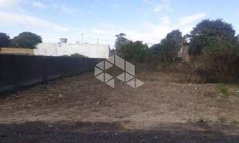 Imagem 5: Terreno no bairro São João do Rio Vermelho em Florianópolis/SC