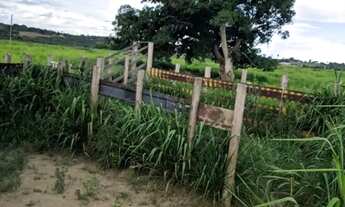Imagem 7: FAZENDA EM CORAÇÃO DE MARIA - 100 TAREFAS