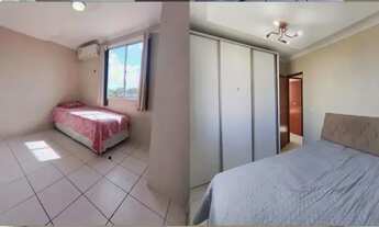 Imagem: Ideal samambaia 4 andar escada totalmente