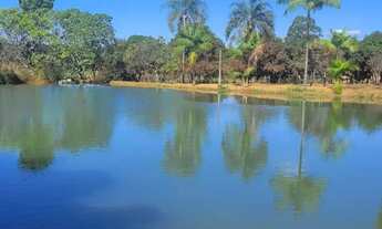 Imagem 4: Vendo chácara escriturada e registrada na embrapa