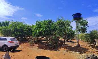 Imagem 3: Ágio chácara Chácara com venda por R$70.000