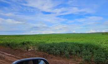 Imagem 5: R$130 Milhões Fazenda de 6.402 ha em Nova Mutum-MT
