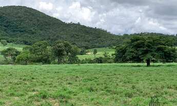 Imagem 4: Fazenda com 2 dormitórios à venda, 2516800 m² por R$ 7.000.000 - Zona Rural - Uruaçu/GO