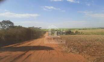 Imagem: Sitio com 11.5 alqueires em Cajuru-SP